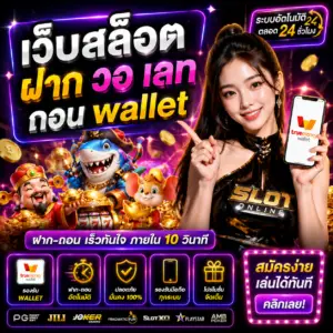 เว็บสล็อต ฝาก วอ เลท ถอน wallet แตกง่าย ฝากถอนเร็ว ตอบโจทย์